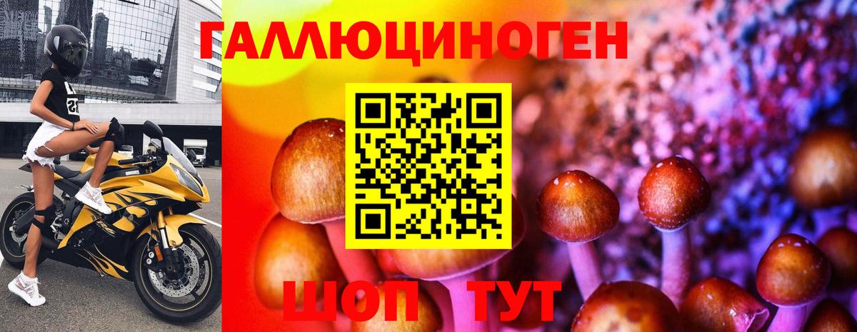 Псилоцибиновые грибы прущие грибы Щёлково