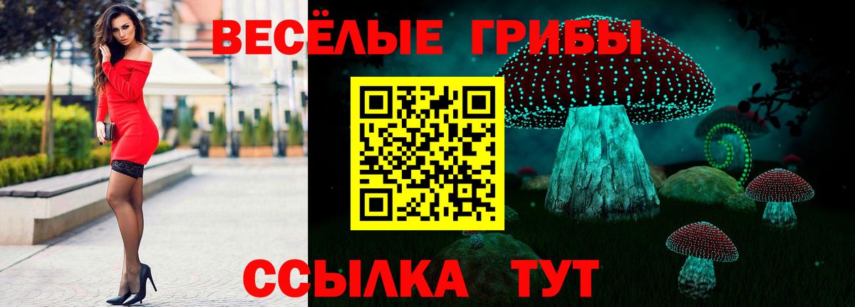 Щёлково  Галлюциногенные грибы ЛСД  магазин  наркотиков  Вход с VPN 